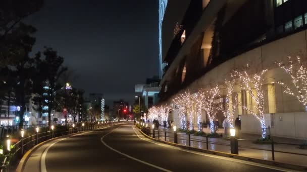 Tokyo Sky Tree Éjszakai Nézet — Stock videók