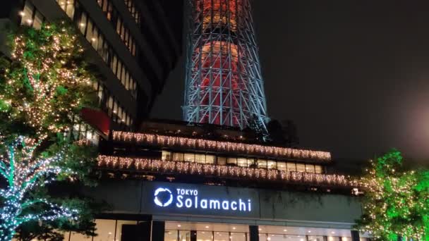 Nachtsicht Auf Den Tokyo Sky Tree — Stockvideo