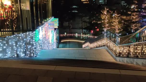 Ночной Вид Токио — стоковое видео