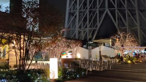 Νυχτερινή Άποψη Του Τόκιο — Αρχείο Βίντεο