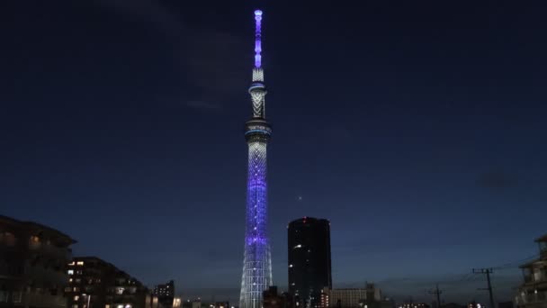 東京スカイツリー夜景 — ストック動画