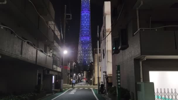 Nachtsicht Auf Den Tokyo Sky Tree — Stockvideo