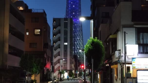 Tokyo Sky Tree Vista Notturna — Video Stock