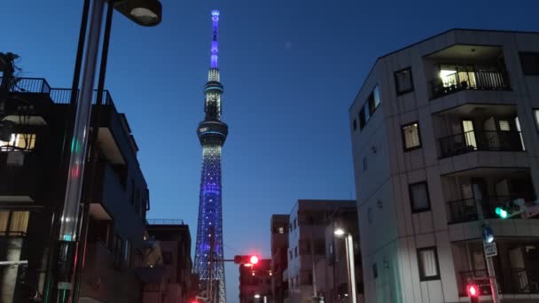 Tokyo Sky Tree Night View — Stock Video
