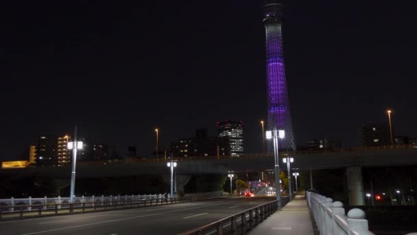 Nachtsicht Auf Den Tokyo Sky Tree — Stockvideo