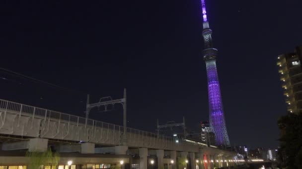 Tokyo Gökyüzü Ağacı Gece Görünümü — Stok video