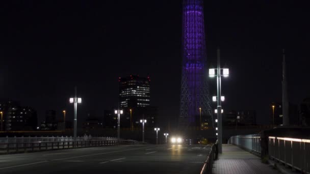 Tokyo Sky Tree Night View — Videoclip de stoc