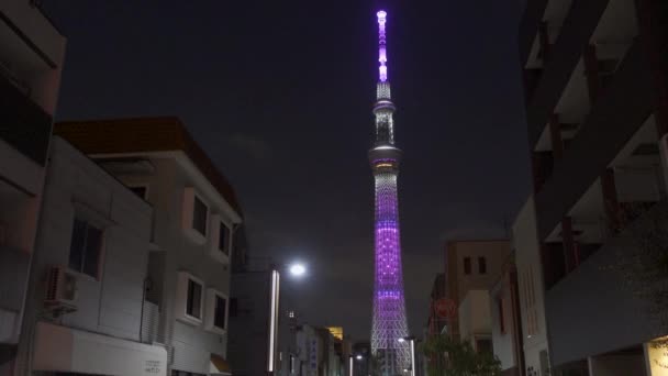 Tokyo Gökyüzü Ağacı Gece Görünümü — Stok video