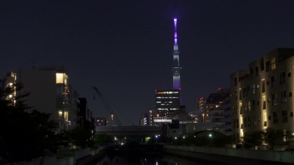 東京スカイツリー夜景 — ストック動画