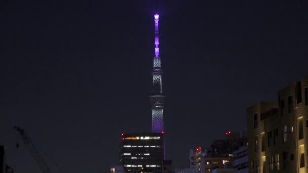 Tokyo Sky Tree Vista Notturna — Video Stock