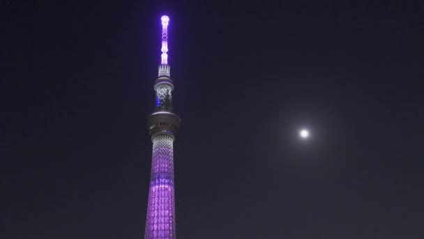 Nachtsicht Auf Den Tokyo Sky Tree — Stockvideo