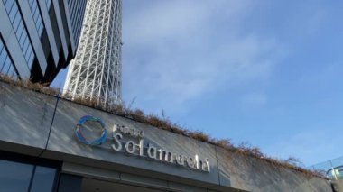 Tokyo Sky ağaç manzara