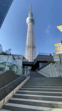 Tokyo Sky ağaç manzara