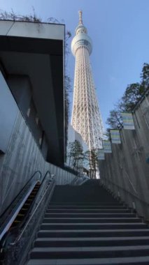 Tokyo Sky ağaç manzara
