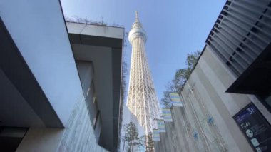 Tokyo Sky ağaç manzara
