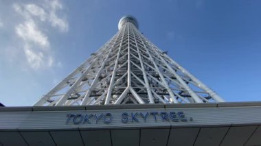 Tokyo Sky ağaç manzara