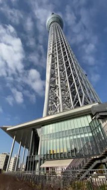 Tokyo Sky ağaç manzara