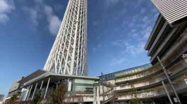 Tokyo Sky ağaç manzara