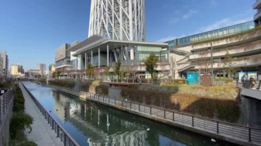 Tokyo Sky ağaç manzara