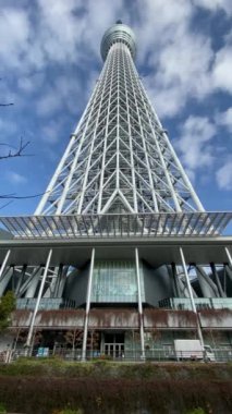 Tokyo Sky ağaç manzara