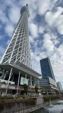 Tokyo Sky ağaç manzara