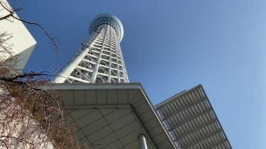 Tokyo Sky ağaç manzara