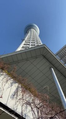 Tokyo Sky ağaç manzara