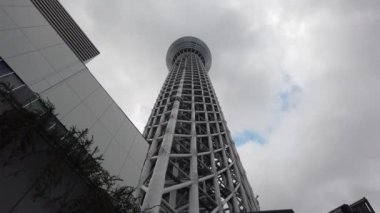 Tokyo Sky ağaç manzara