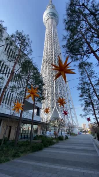 东京天空树景观 — 图库视频影像