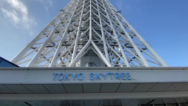 Tokio Cielo Árbol Paisaje — Vídeos de Stock