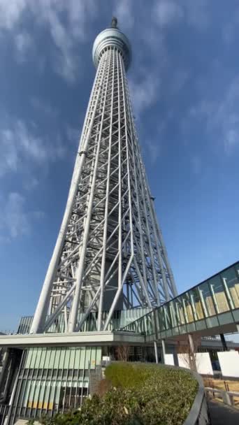 Tokyo Sky Tree Krajobraz — Wideo stockowe