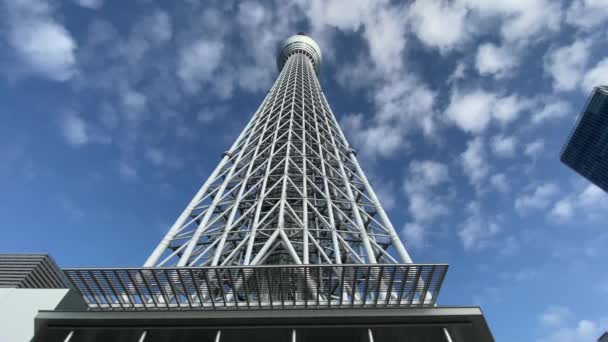 Tokyo Sky Tree Krajobraz — Wideo stockowe