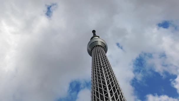 Tokyo Sky Tree Krajobraz — Wideo stockowe