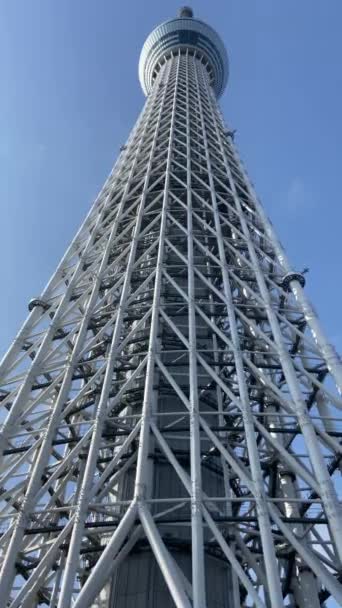 Tokyo Sky Tree Krajobraz — Wideo stockowe