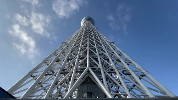 Tóquio Sky Tree Paisagem — Vídeo de Stock