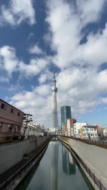 Tokyo Sky Tree Krajobraz — Wideo stockowe