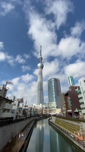 Tokyo Sky Tree Krajobraz — Wideo stockowe