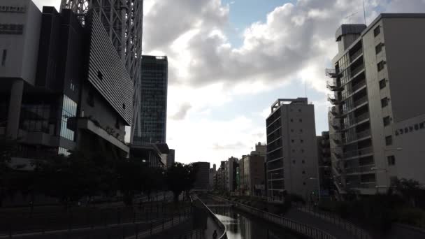 Tokyo Himmelsbaumlandschaft — Stockvideo