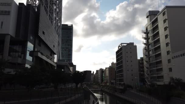 Tokio Cielo Árbol Paisaje — Vídeos de Stock