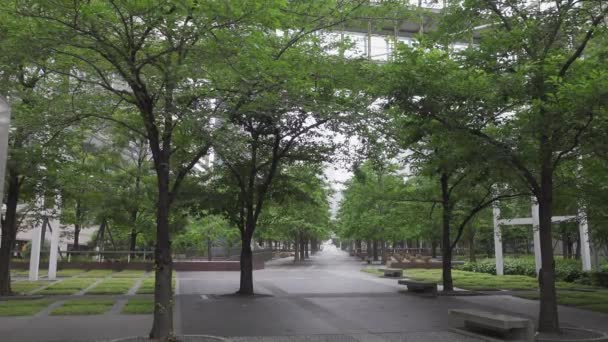 Shinagawa Japón Tokio Paisaje — Vídeo de stock