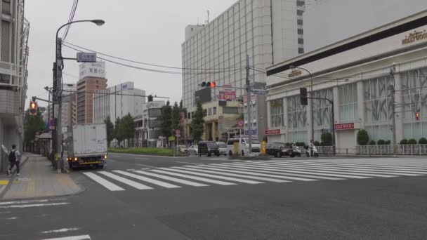 Shinagawa Japonii Krajobraz Tokio — Wideo stockowe