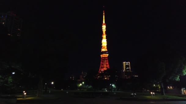 Tokyo Tower Japan Nachtansicht — Stockvideo