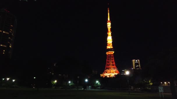 Tokyo Tower Japan Nachtansicht — Stockvideo