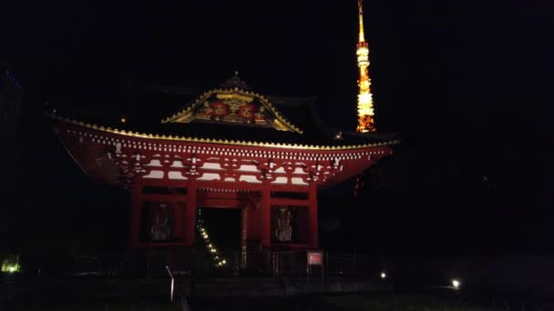 Tokyo Tower Japonia Widok Nocny — Wideo stockowe