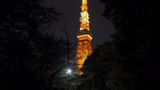 Tokyo Kulesi Japon Gece Manzarası — Stok video
