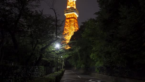东京塔 日本夜景 — 图库视频影像