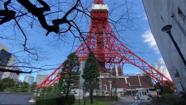Tokyo Tower Jepang Landscape — Stok Video