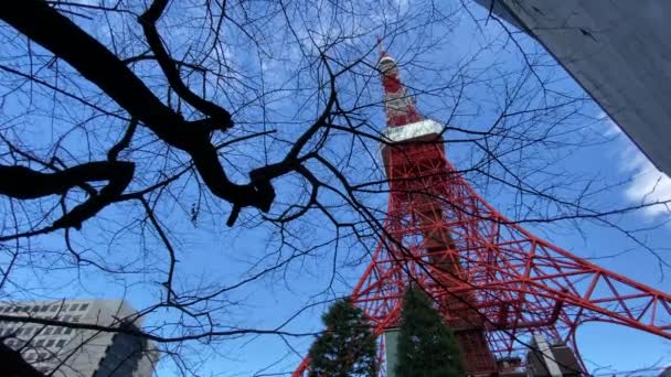 Tokyo Tower Japan — Αρχείο Βίντεο