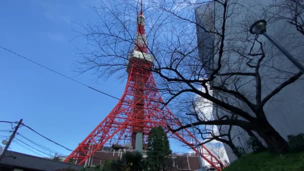 Tokyo Tower Japan — Αρχείο Βίντεο