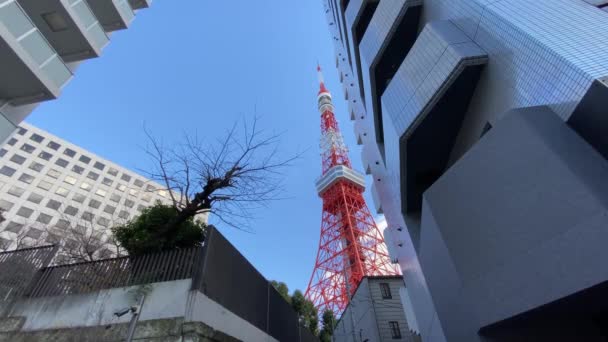 Токийская Башня Японии Ландшафт — стоковое видео